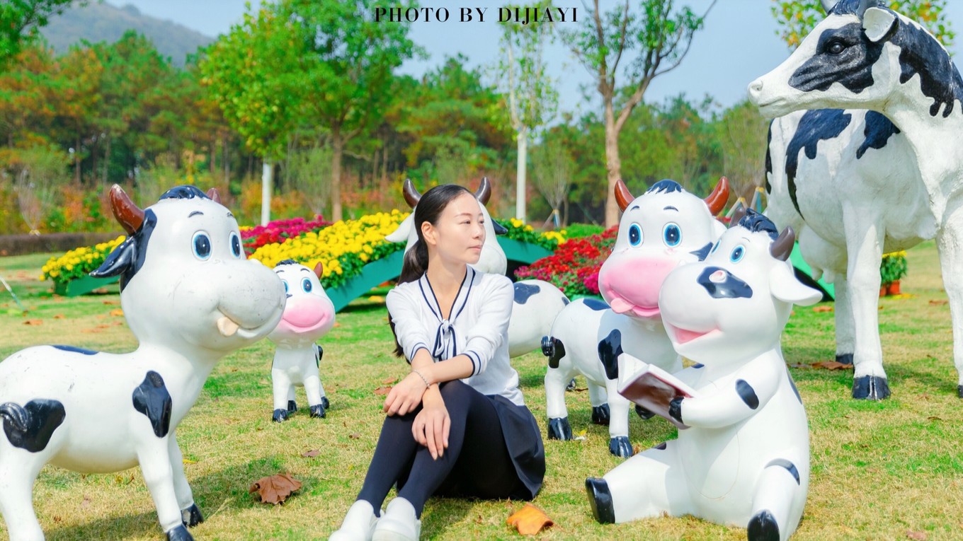 金坛花谷奇缘有什么地方值得打卡,金坛花谷奇缘赏花攻略