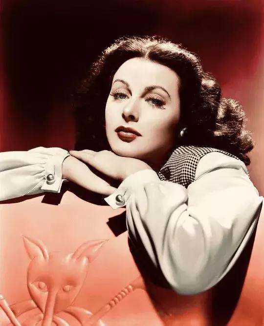 花木兰古代战争,花木兰对战争的影响