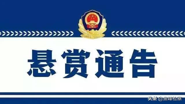 沈阳征集涉黑涉恶犯罪线索,警方征集犯罪线索最高奖励100万