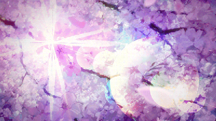 叮咚，丁神树洞开张了～我有酒，你有故事吗？