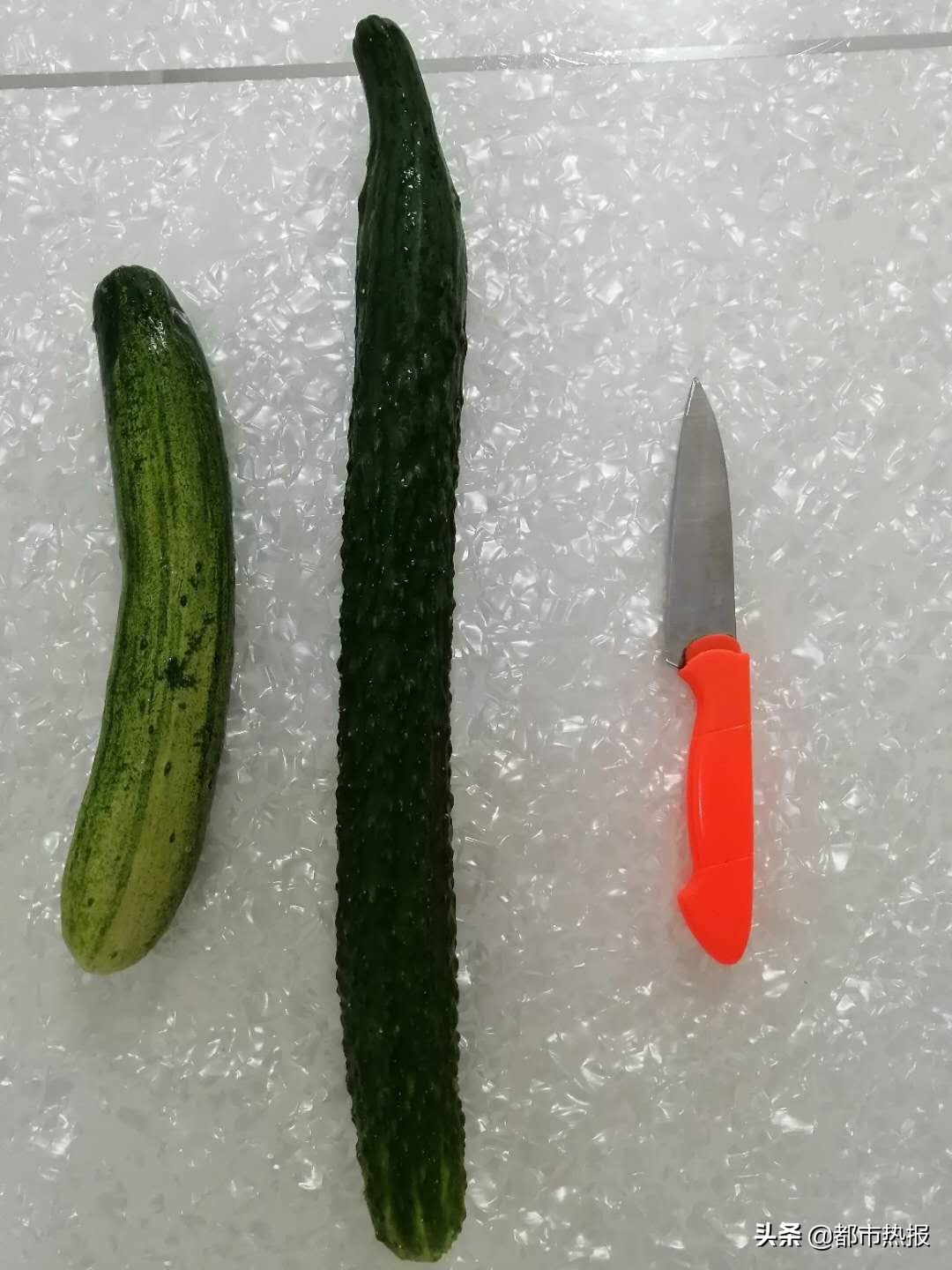 给黄瓜“挤奶”后有甜味？真相来了