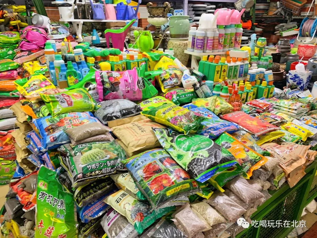 北京花市攻略大全,北京最美赏花景点