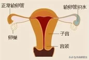 免疫相关妊娠,免疫相关不良反应指南