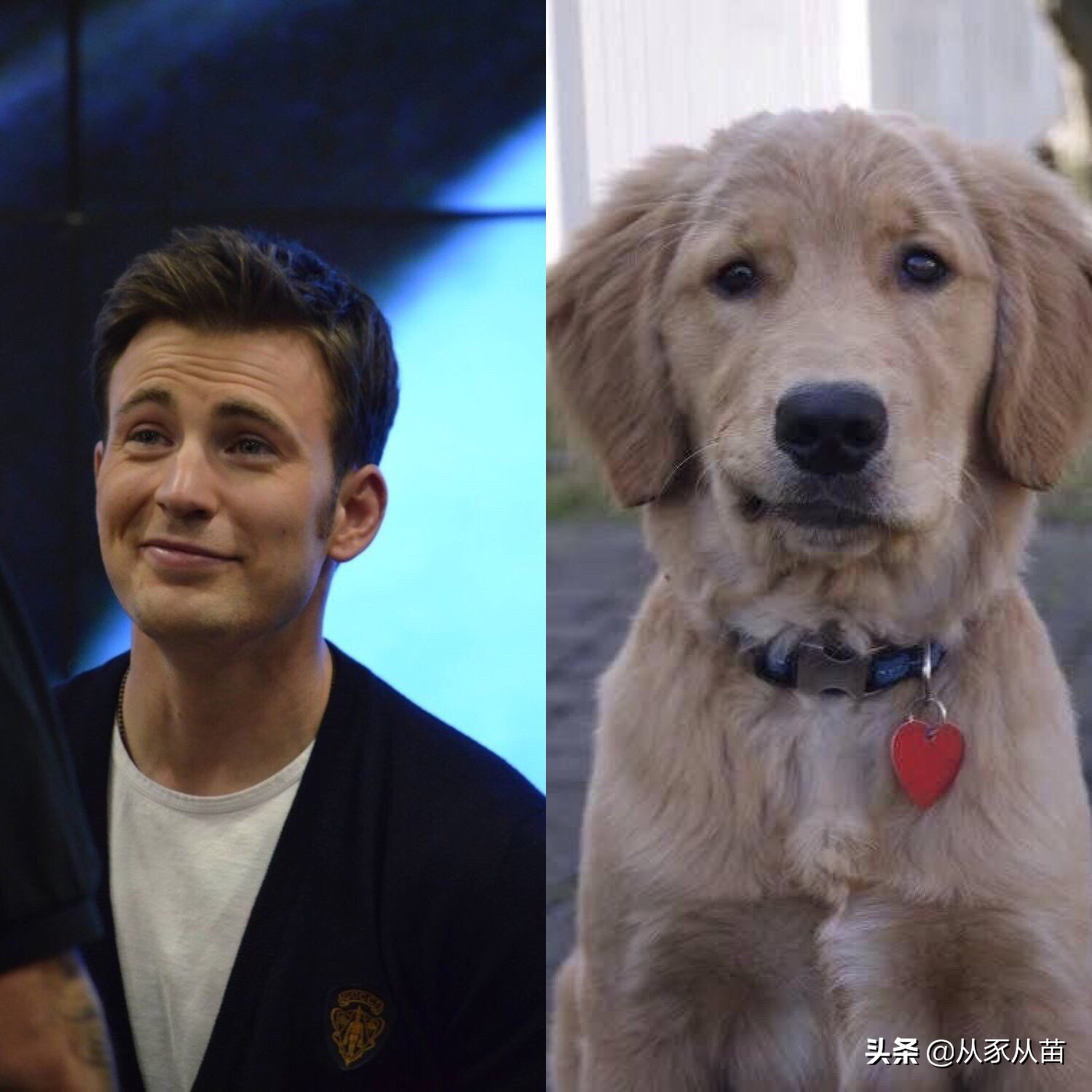 原来美队私底下是这样！看完这组照片会心一笑哈哈