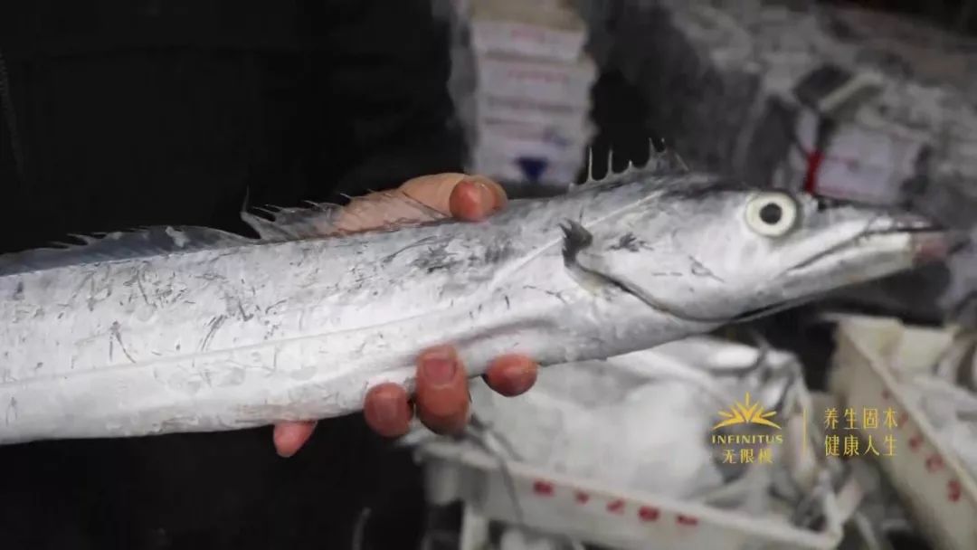 过年必囤的海鲜,过年买什么样的海鲜最有逼格