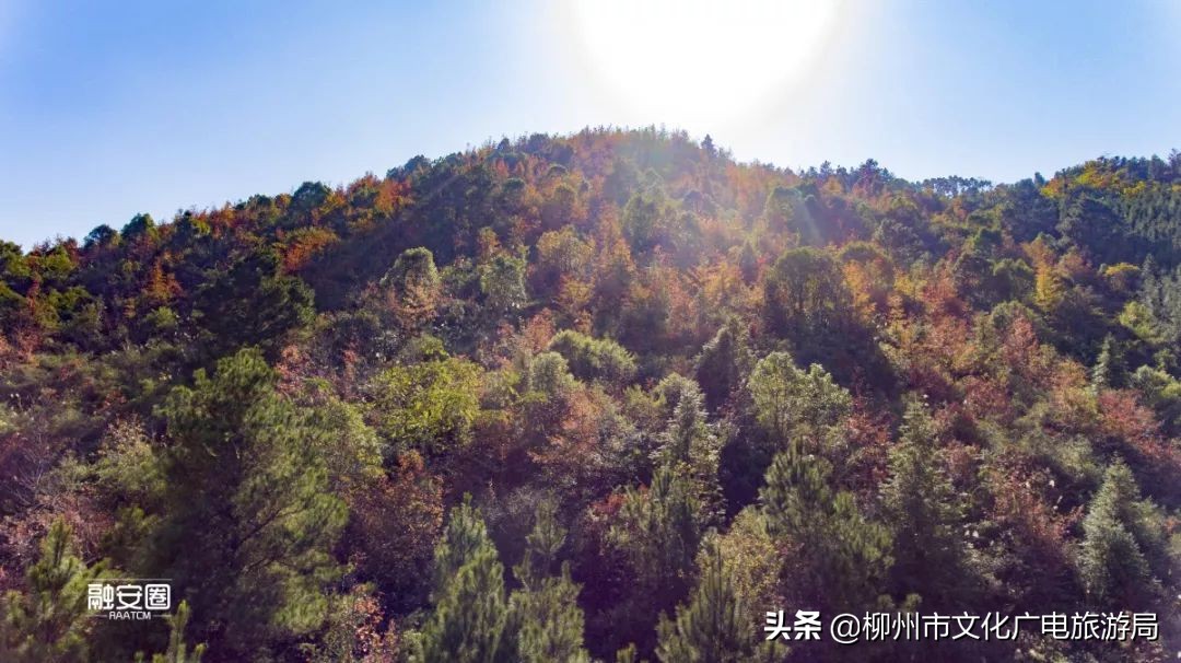 融安风景最好看的地方,融安十大游玩景点