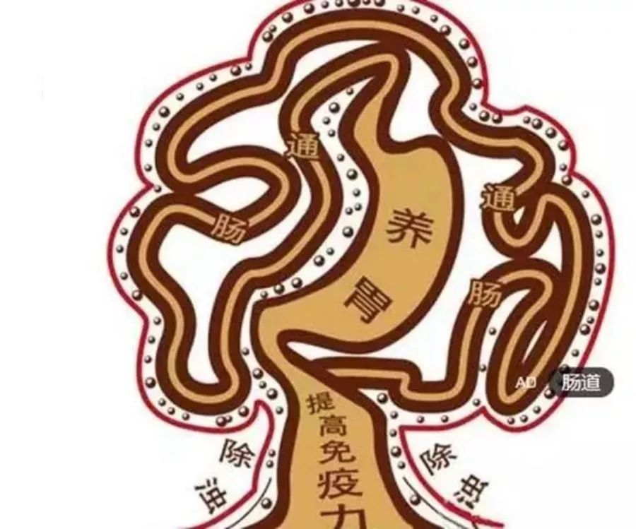 疫情蔓延，免疫力提高是关键！益生菌的秘密你应该要记住