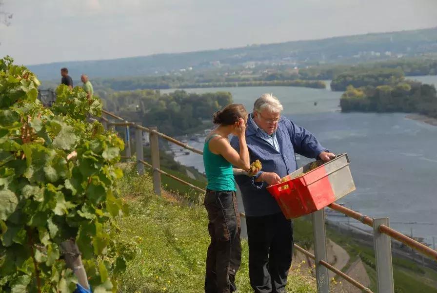 「德国」9天8晚深“德”我心之旅，1350新币起带你畅游德国