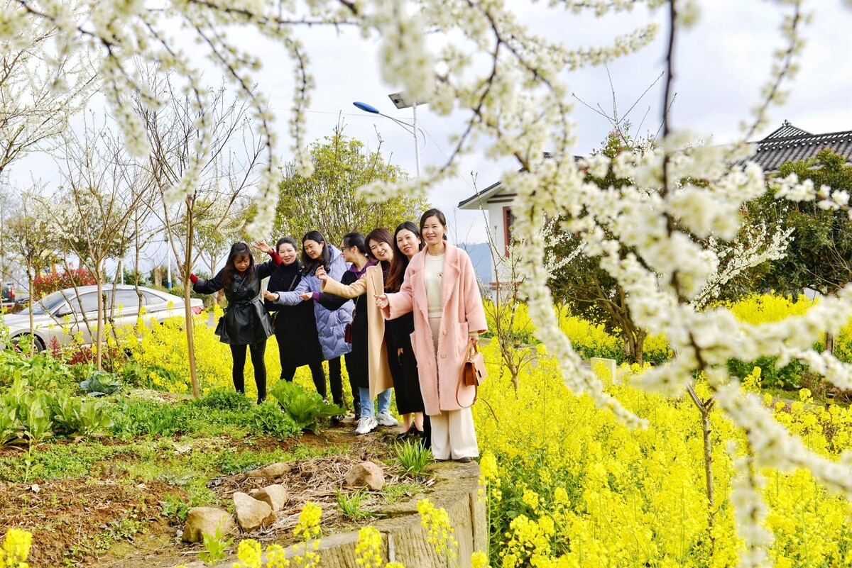 四川通江县十大旅游景点,四川通江县县长
