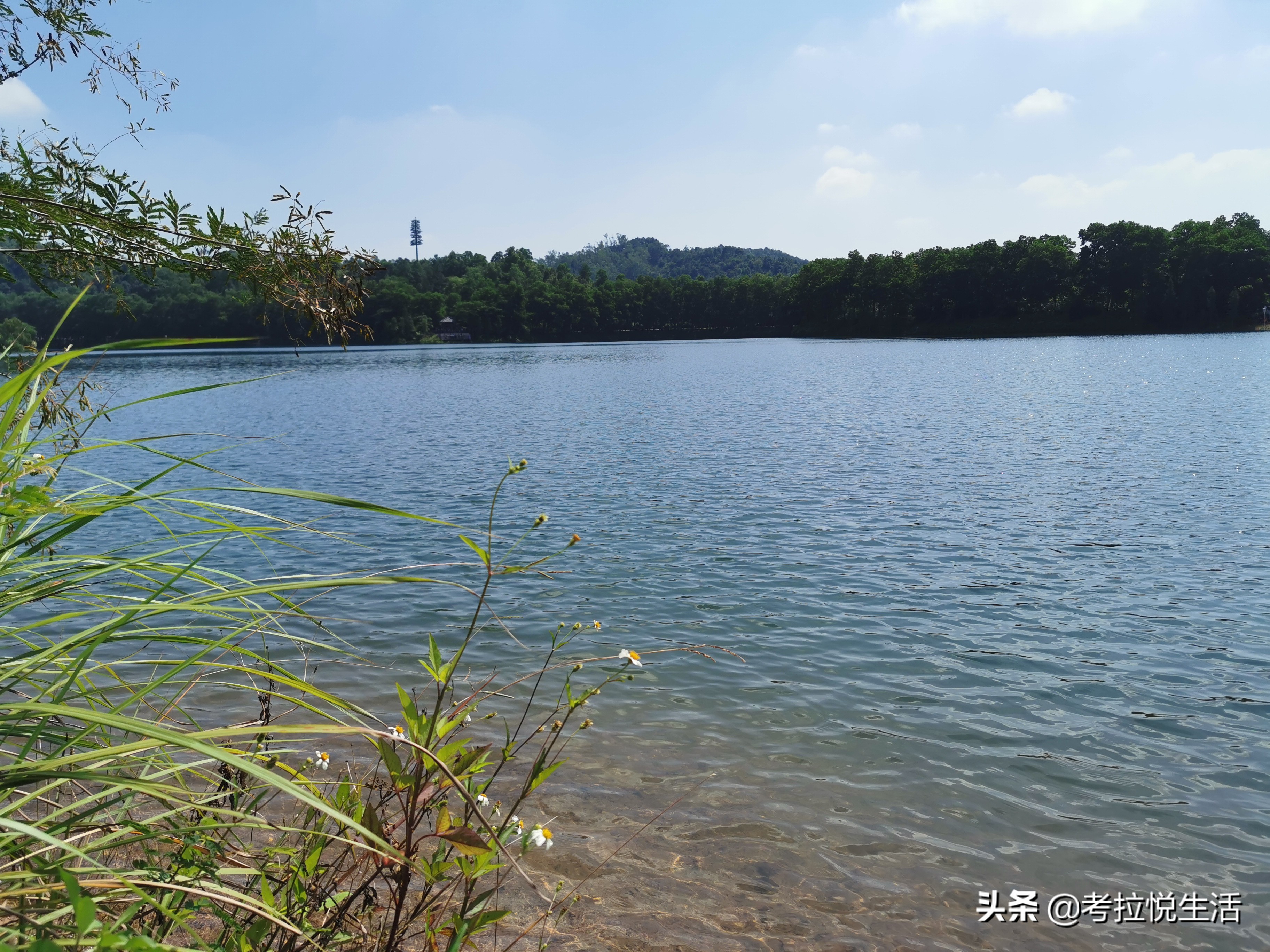 2018惠州中秋攻略,国庆惠州记录