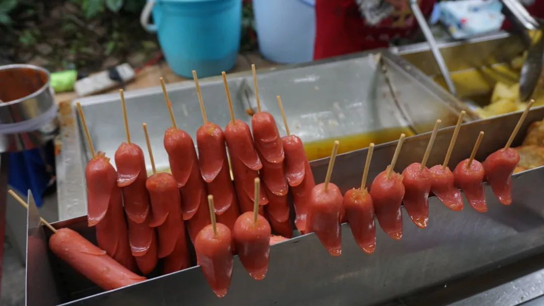 向往的生活1中的小院,精装版向往的生活