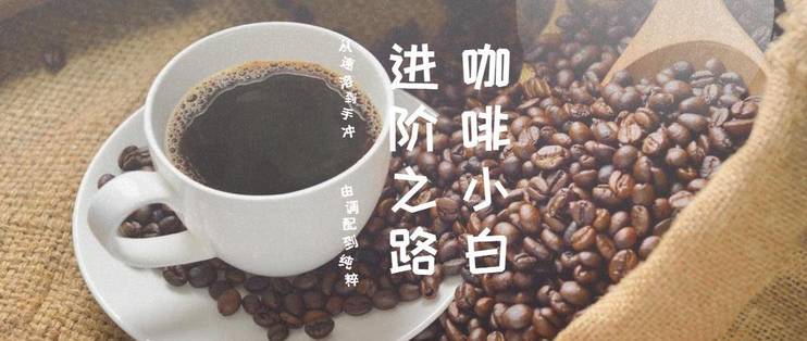 手冲速溶咖啡新手入门学习,从咖啡豆到泡咖啡的过程