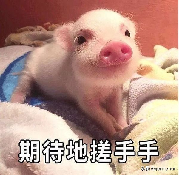 爆款低至7折起年货节大促买买买,打折狂欢高品质产品超值抢购