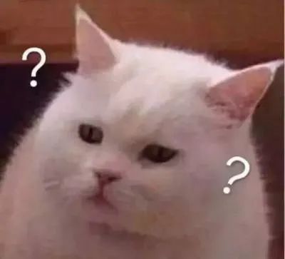 春天来了狗换毛了,春天狗子肚子掉毛