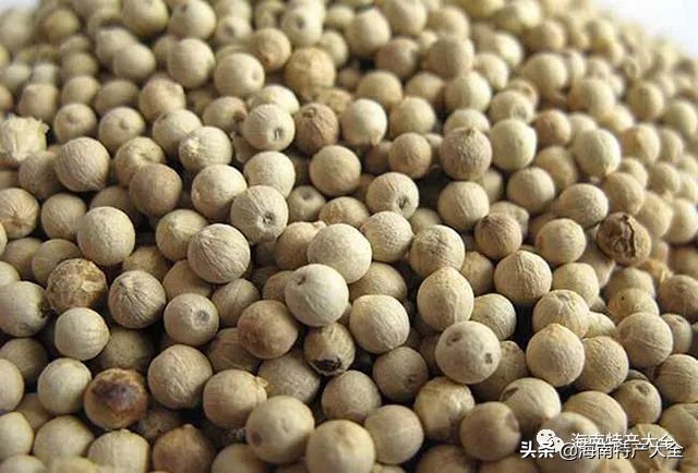 海南胡椒现在收多少钱一斤,海南胡椒收购价为什么低