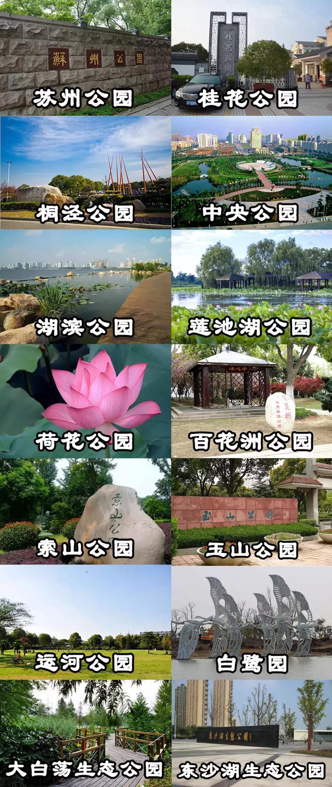 苏州2022年回顾,2019苏州记忆