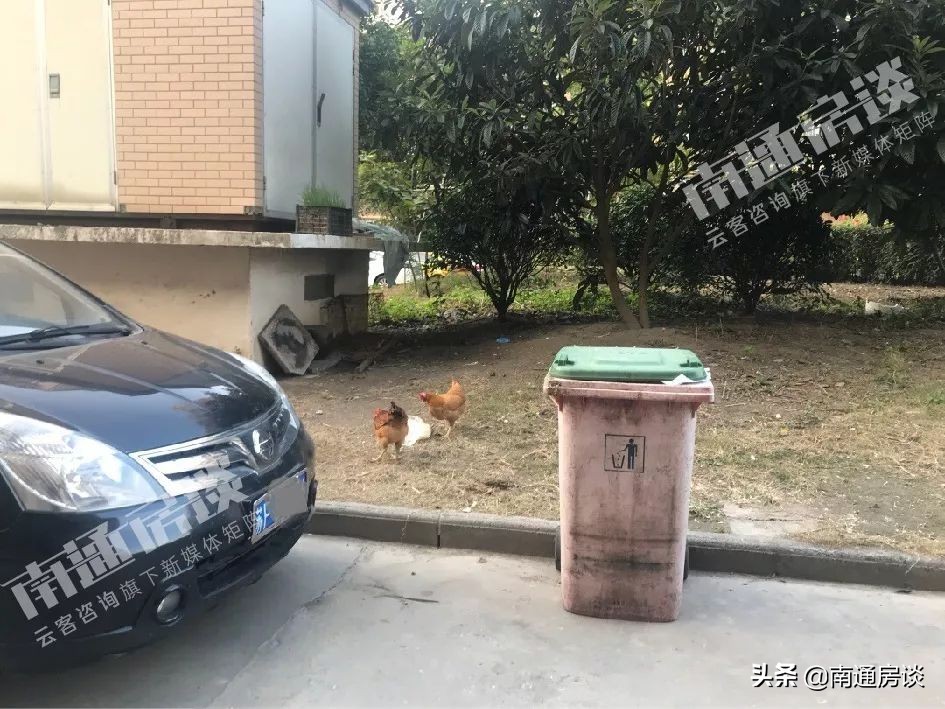 学士府与紫东花苑哪个好,学士府安置房价格