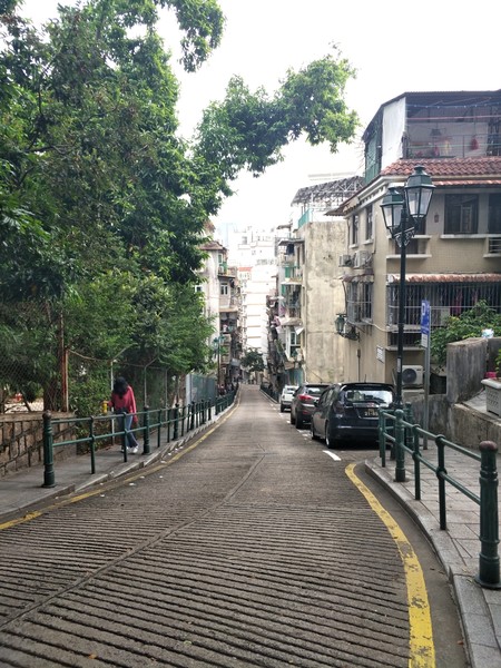 澳门一日休闲游,澳门带爸妈一日游