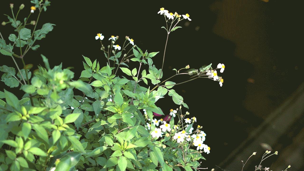 服务业的税率一般是多少,服务业税率多少最合理