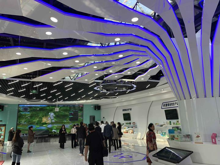 记者眼中的劳动者,记者眼中的干部