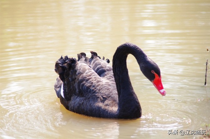沈阳旅行推荐夏季景点攻略,沈阳冬日周边一日游旅游景点推荐