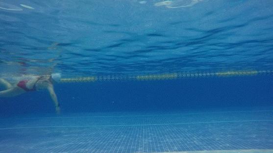 自由泳对角线拉直拉长训练,自由泳两次打腿与划手配合