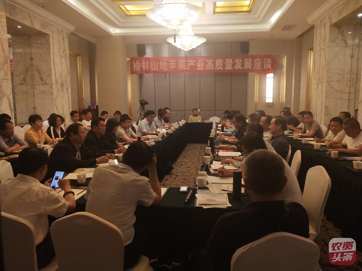 瀵岀閰电礌楗搧,瀵岀閰电礌鍥剧墖