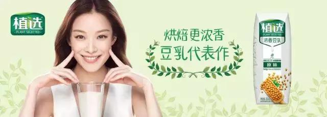 植物蛋白质豆奶,植物蛋白饮料豆奶