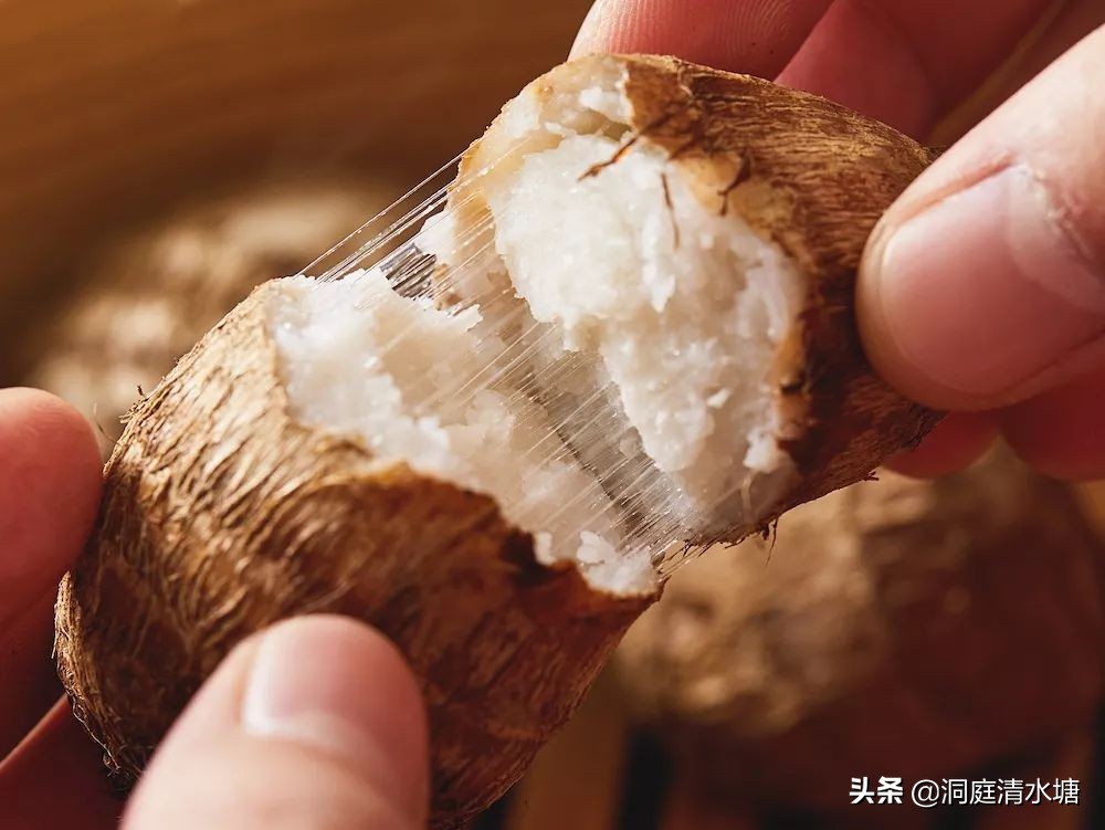 吃起来很滑的芋头,肉质致密口感细腻味如板栗