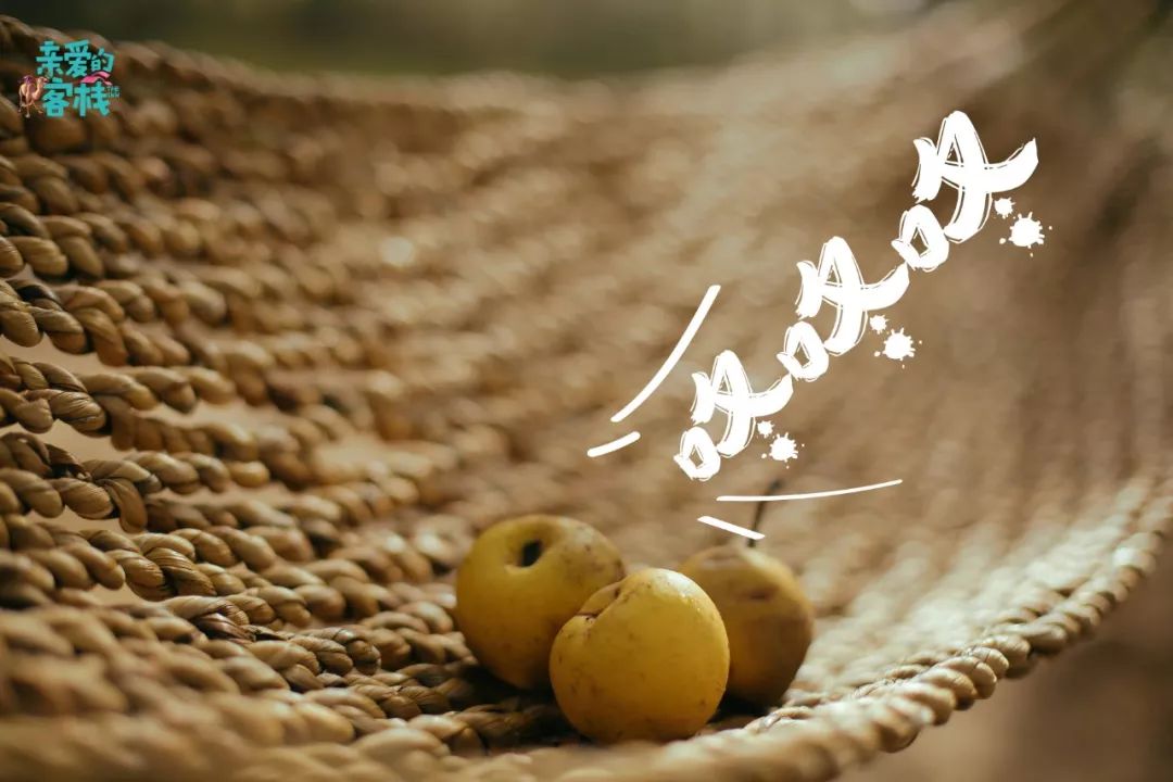 讲好黄河故事传承河洛文化,讲好黄河故事传承黄河文化内容