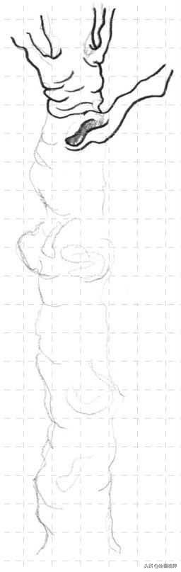 钢笔画入门教程花鸟,钢笔画入门基础教程人物