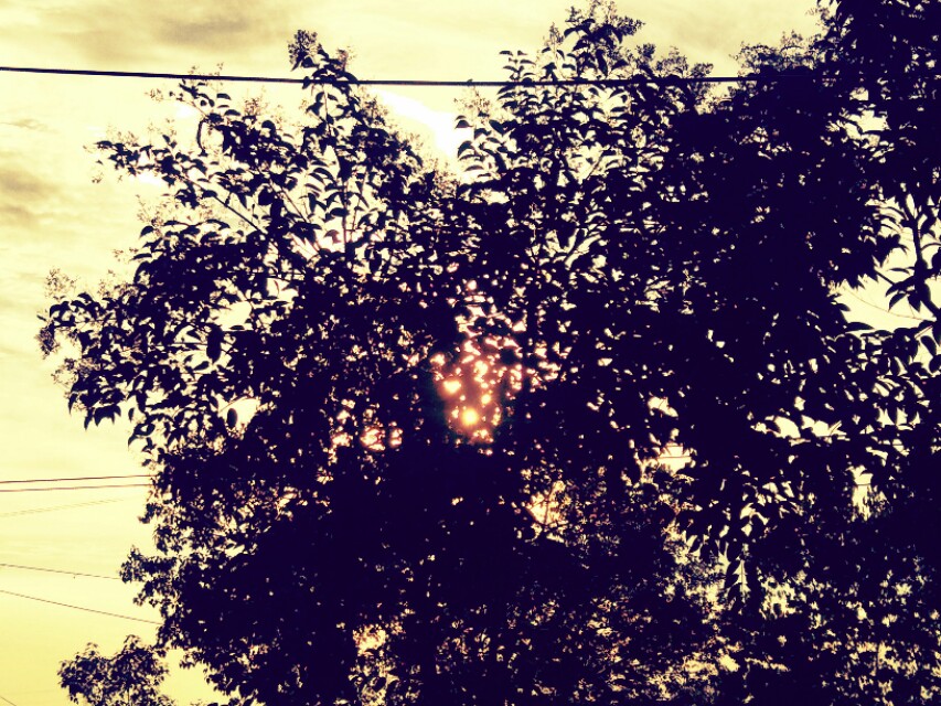 绿山墙的安妮里面的人物特点,绿山墙的安妮安妮为什么要道歉