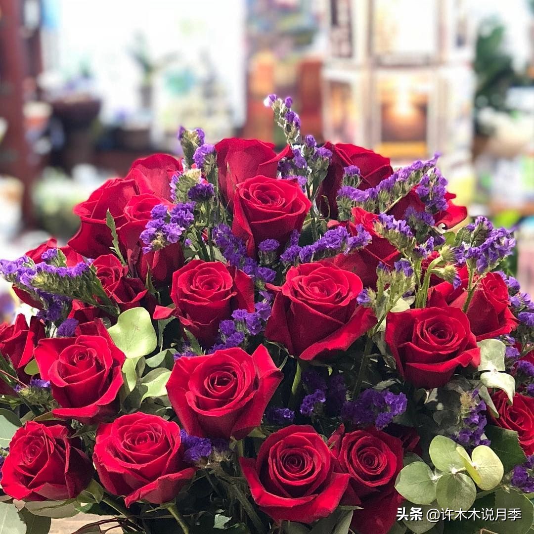 蔷薇月季玫瑰种多久才可以开花,蔷薇和月季开花区别