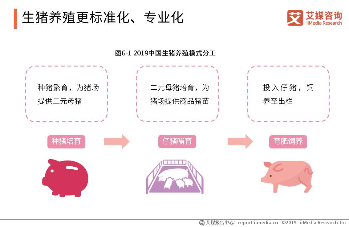 温氏生猪养殖前景,温氏生猪的销售模式