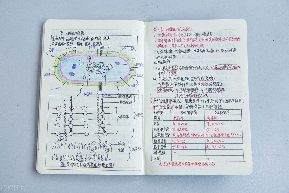 8种方法教你高效做笔记,十大最有效笔记法
