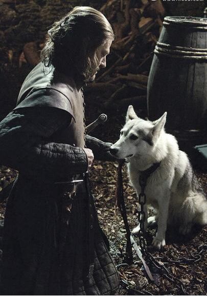 权游第八季熊家,权游8最新视频