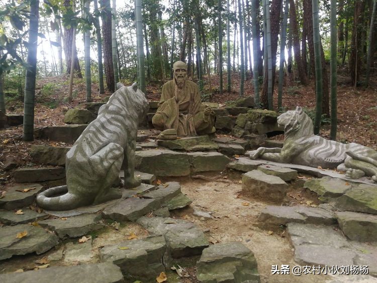 奉化溪口一日游攻略,奉化溪口一日游旅行社跟团多少钱