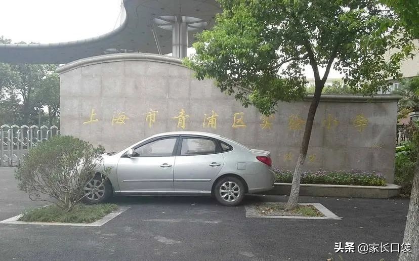 2021上海奉贤区重点小学排名一览,上海十六区最佳小学