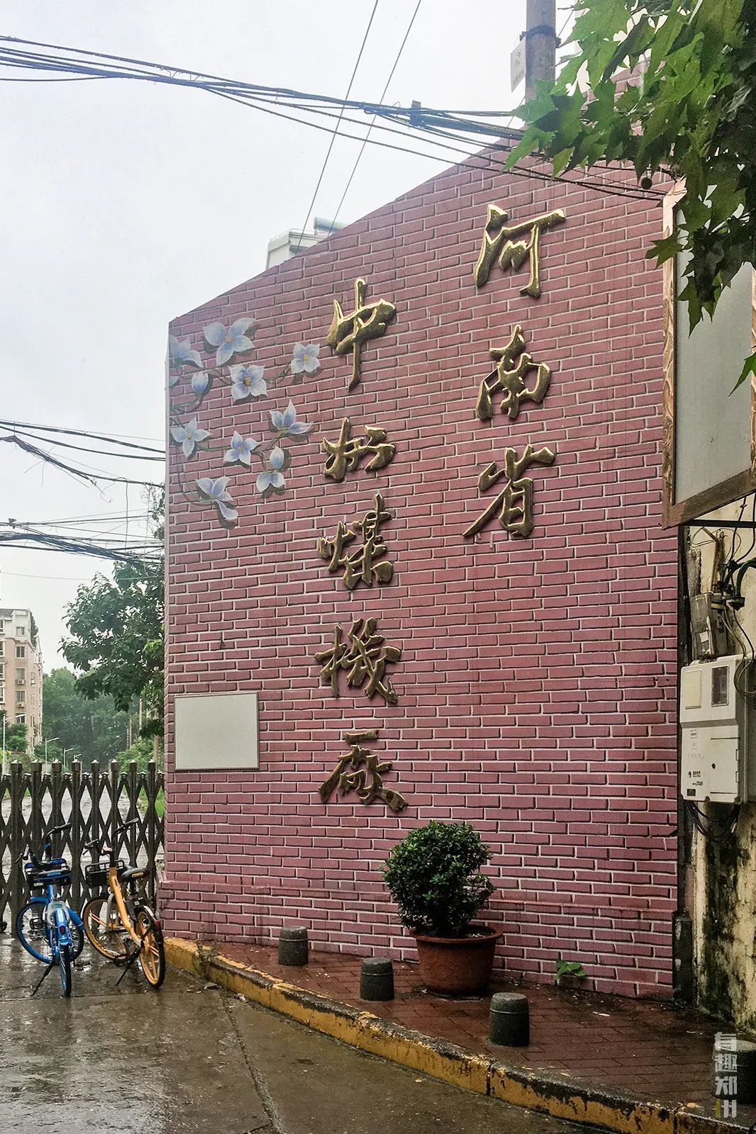 棉纺东路街道,棉纺东路到陇海路桐柏路