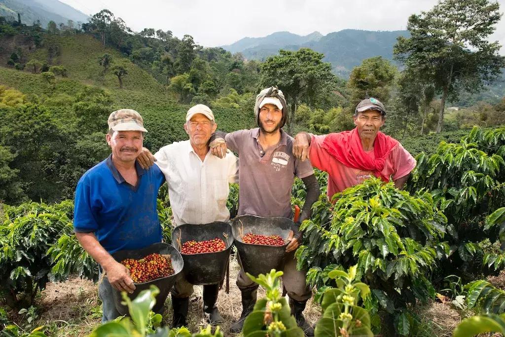 成为一名咖啡师需要具备哪些条件,成为一个咖啡师要多久