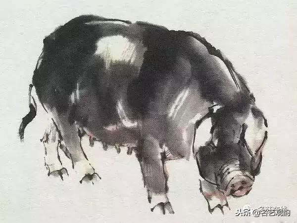小朋友画猪简单又好看,猪年画猪中国画