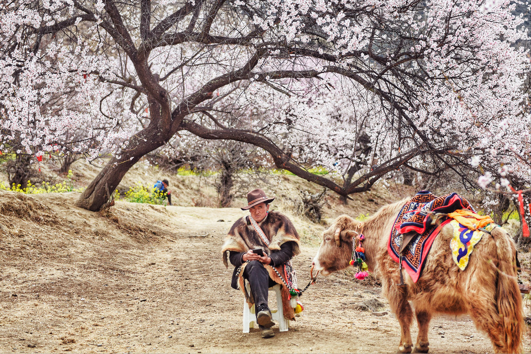 戴口罩的春节,戴口罩的冬天过去了