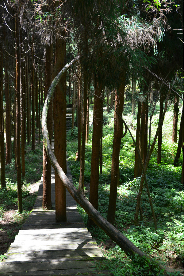 重庆避暑凉快的地方,重庆人都去贵州哪里避暑最好