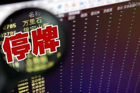 股票停牌装入资产后复牌,停牌的股票不复牌