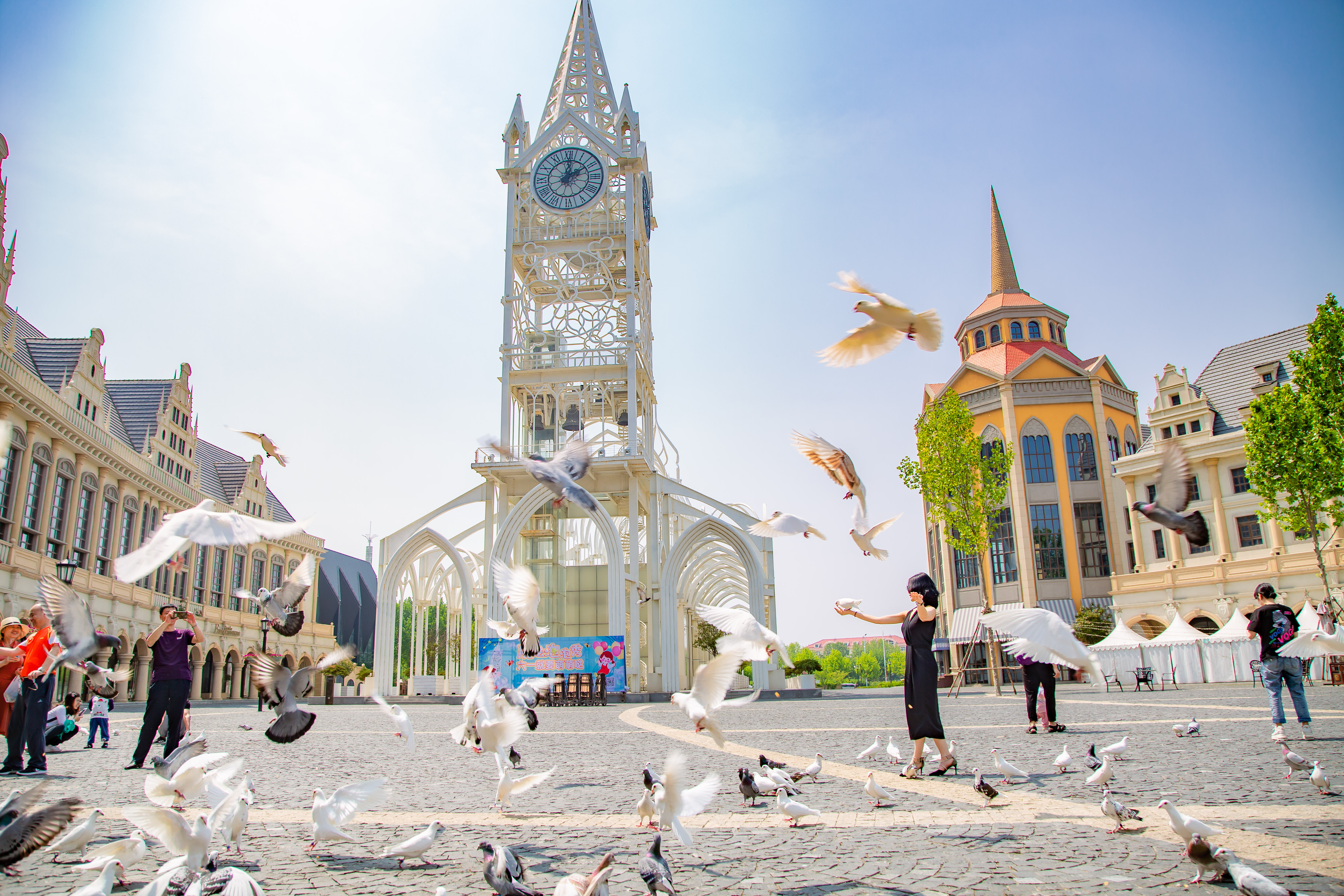 青岛红树林度假世界位置在哪里,青岛哪里适合周末休闲度假的地方