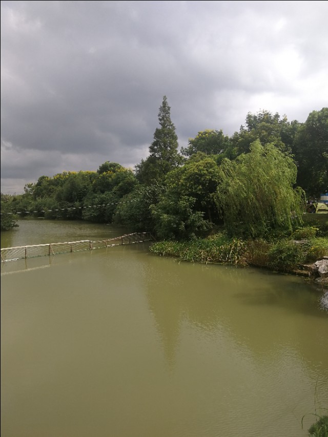 上海浦东周浦镇,上海浦东小镇