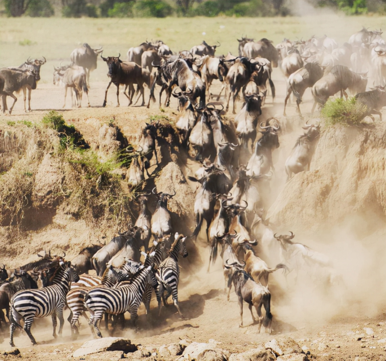 风景最美的国家公园,中国最靓的公园