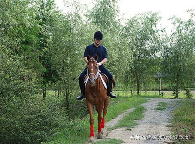 梨木台温福大院实景 (天津蓟县梨木台镇温福大院)