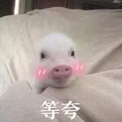 编辑部要学点什么,编辑部都有什么东西