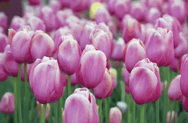 几十块钱玩一天,几十块钱玩一天天津